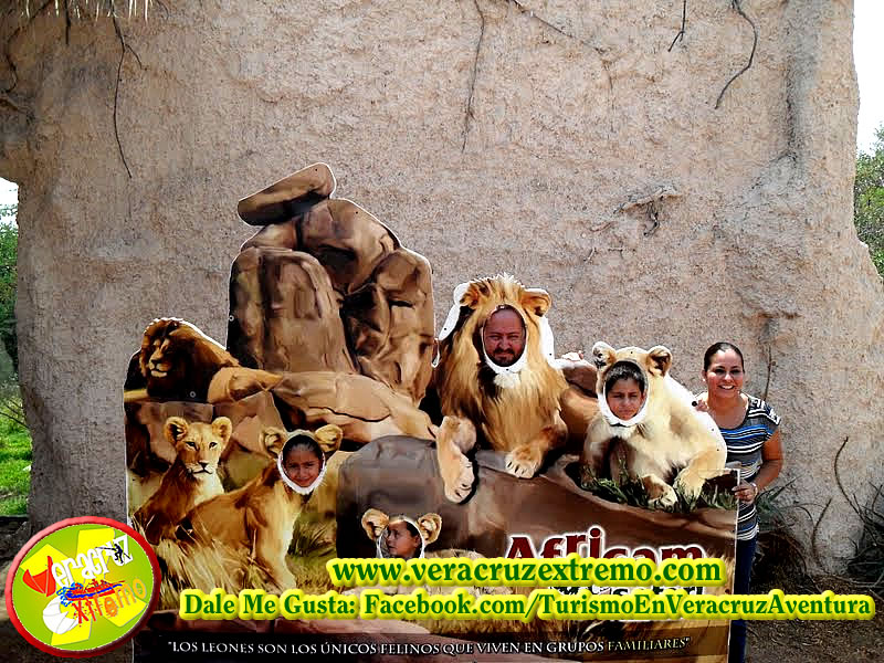 Viaje a Africam Safari Saliendo De Veracruz y Xalapa